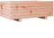vidaXL - Plantenbak - 70x40x26,5 - cm - massief - douglashout