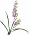 Silk-ka Kunstbloemen Zijden Bloemen Oncidium Tijger Orchidee Tak Paars Groen 78 cm 150041