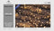 Anna's Collection Cluster Ivy Led - Verlichting - Warm Wit