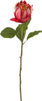 J-Line bloem Protea Tak - kunststof - rood - 6 stuks