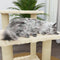 vidaXL - Kattenmeubel - met - sisal - krabpalen - 50,5 - cm - lichtgrijs