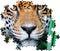 Clementoni - Puzzel - 500 Stukjes - Jaguar in de Jungle - Puzzel Voor Volwassenen - High Quality Collection