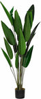 Decoratieve plant DKD Home Decor Groen PE Paradijsvogel (50 x 50 x 160 cm)
