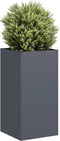 vidaXL - Plantenbak - 40x40x80 - cm - koudgewalst - staal - antracietkleurig