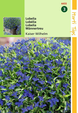 2 stuks - Hortitops - Lobelia Erinus Comp. Kaiser Wilhelm