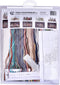 Thea Gouverneur - Borduurpakket met telpatroon - 480 - Voorgesorteerde DMC Garens - Sydney - Linnen - 79 cm x 50 cm - DIY Kit