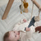 Trixie Babygym