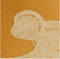 SVJ Home Decorations Apen Kussen - 40 x 60 cm - Fluweel - Geel