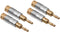 Wentronic 53983 - Bananen audioconnectors - 24k verguld - Goud (4 stuks)