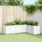 vidaXL - Plantenbak - 160x120x53 - cm - polypropeen - wit