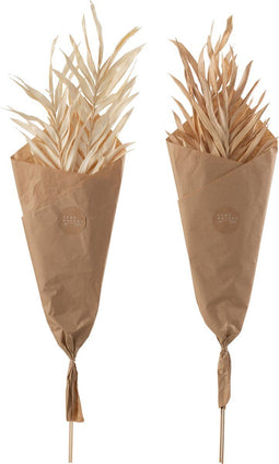 J-Line Droogbloemen - Gedroogde Bladeren 2 Stukken - naturel - large - 2 stuks