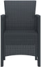 vidaXL - Tuinmeubelen - met - kussens - 2 - stuks - Bruin - Poly - Riet