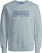 JACK&JONES JORFASTER - Heren Trui - Maat L - (2020)