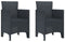 vidaXL - Tuinmeubelen - met - kussens - 2 - stuks - Bruin - Poly - Riet