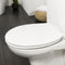 Tiger Boston - WC bril - Soft Close - Easy Clean - Duroplast - Wit / Chroom