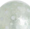 Ballen CAPIZ Decoratie Munt 10 x 10 x 10 cm (8 Stuks)