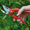 Berger Professionele Snoeischaar - 21.5 cm - Massief Staal - Knipt tot 2 cm Diameter