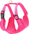 Hondentuigje Dingo 15871 Roze 39 - 59 cm