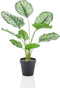Emerald - Kunstplant in pot Calathea Orbifolia 45cm - Kunstplanten voor binnen