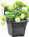 DEROMA Vierkante bloempot Day R Antraciet - 38 cm