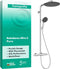 Hansgrohe Raindance Alive S Puro - Showerpipe - Ecostat thermostaat - 300mm - 1 straalfunctie - Chroom