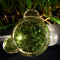 Weltevree | Local Habitat Terrarium | Terrarium Planten en Insecten | Ecosysteem Glazen Kom | Vaas