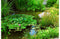 Customize it - Tuindoek wilde vijver 210x140cm