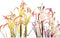 Decoratieve plant DKD Home Decor Metaal Oranje Bordeaux PVC Lelies (25 x 25 x 88 cm) (2 Stuks)