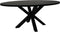 Ovale eettafel - 200x100x76 - Zwart - Mangohout/metaal