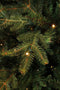 Black Box Trees Frasier Kunstkerstboom met LED verlichting - H305 cm - Groen