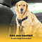 Jake & Jacky - Honden Autogordel - Verstelbaar - Zwart