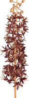 PTMD Twig Plant Eremurus Kunsttak - 43 x 8 x 86 cm - Rood/Goud
