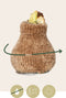 Plant in a Box - Amaryllis - Hippeastrum 'Cozy Teddy Gold' - Bloembol - Rode bloemen