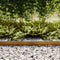 vidaXL - Graskanten - 20 - stuks - 100x0,5x15 - cm - Weerbestendig - Staal