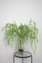 PTMD Leaves Plant Waterplant Kunsttak - 46 x 23 x 80 cm - Groen