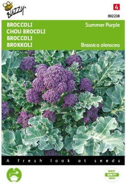 5 stuks - Buzzy - Broccoli Summer Purple Tuinplus