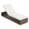 Coast Ligstoel - Rattan - Verstelbaar - Opbergruimte - Kussen - 185 x 65 x 26-86 cm - Gemengd Bruin