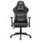 Cougar Armor One V2 - Gaming stoel - Ergonomisch ontwerp met verstelbare rugleuning - Gouden