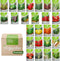Groentezaden Pakket - Moestuinzaden - 25 Culinaire Soorten - Groentezaden - Tomaten Zaden - Komkommer Zaden - Peper Zaden - Aardbeien Zaadjes - Paprika Zaden - Groentezaden Moestuin - Organifer