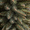 Black Box Trees Kunstkerstboom Lavia - 71x71x215 cm - PVC - Groen