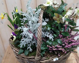 XL mand plantenbak buitenWarentuin Natuurlijk