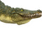 Mojo Wildlife Krokodil met Bewegende kaak - 387162