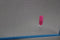 Bosch DUL63CC50 - Onderbouw Afzuigkap - 350 m³/u - LED Verlichting