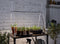Parus by Venso GrowLight Duo Kweeklamp plantenarmatuur met standaard, fotosynthese stimulatie en chlorofylvorming, LED groeilamp, groeilicht voor kamerplanten, groenten, bloemen