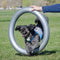 Fitpaws Donut Houder 55 Cm Pvc Grijs