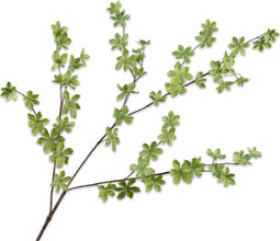 Silk-ka Kunstbloem-Zijden Bloem Bladtak Groen 109 cm