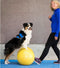FitPAWS Dierenbalansplatform Trax Peanut 40 cm geel