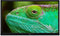 Lenco DVL-2483BK - Smart TV 24