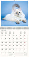 2026 Kalender schrijven 30 x 30 katten - gratis 2025