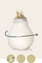 Plant in a Box - Amaryllis - Hippeastrum 'Wax Snow White' - Bloembol - Rode bloemen